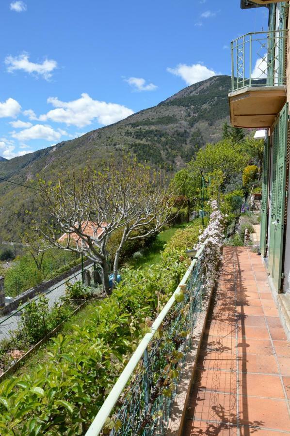Villa Rosemarie Valdeblore Εξωτερικό φωτογραφία